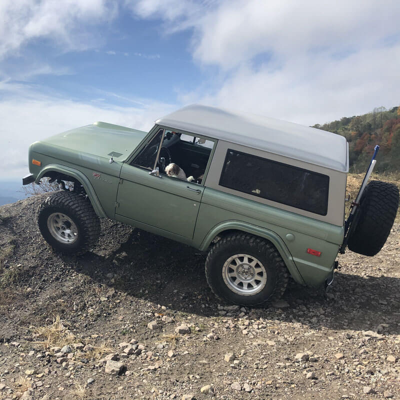 LickCreekRestorations_TheDuck